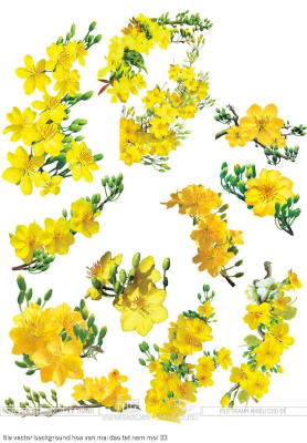 file vector background hoa van mai dao tet nam moi 33