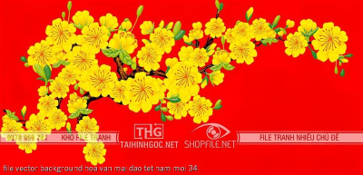 file vector background hoa van mai dao tet nam moi 34