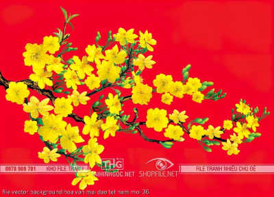 file vector background hoa van mai dao tet nam moi 36