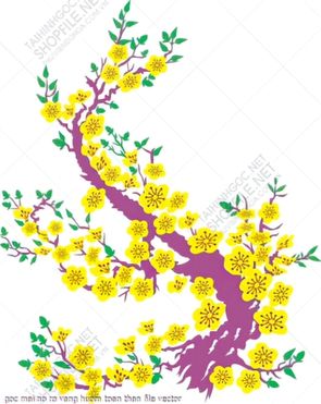 goc mai no ro vang huom toan than file vector