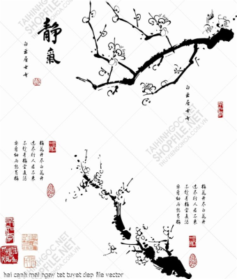 hai canh mai ngay tet tuyet dep file vector