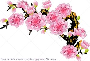hinh ve canh hoa dao doc dao ngay xuan file vector