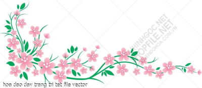 hoa dao day trang tri tet file vector