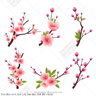 hoa dao nam moi doc dao dep mat file vector