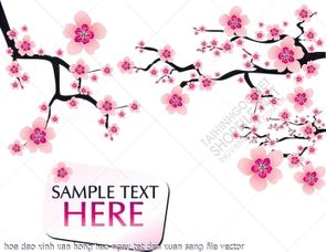 hoa dao xinh xan hong hao ngay tet den xuan sang file vector