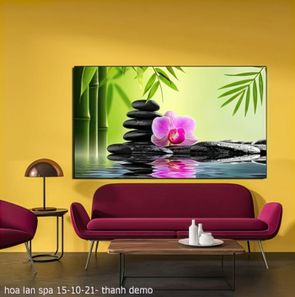 hoa lan spa 15 10 21  thanh