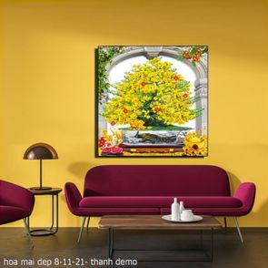 hoa mai dep 8 11 21  thanh