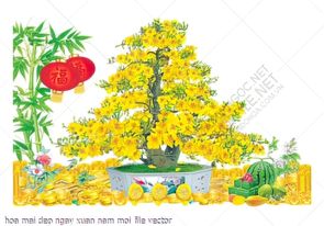 hoa mai dep ngay xuan nam moi file vector