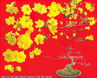 hoa mai du loai decor trang tri tet file vector