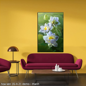 hoa sen 16 4 21  thanh