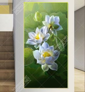 hoa sen 2 7 21 thanh