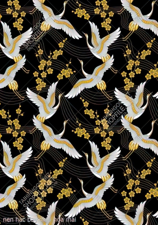 tranh mau don nen hac bay giua hoa mai