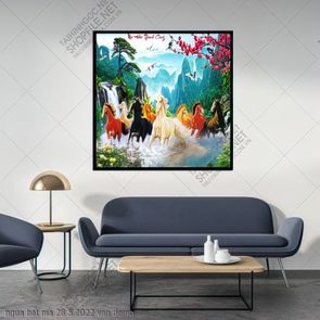 ngua bat ma 28 5 2022 van