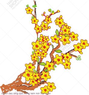 nhanh dao vang tuoi mung nam moi file vector