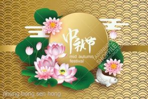 nhung bong sen hong