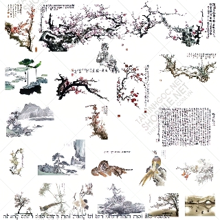 nhung canh dao canh mai trang tri tan xuan nam moi file vector