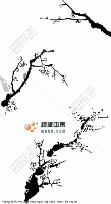 nhung canh mai den trang ngay tet nghe thuat file vector