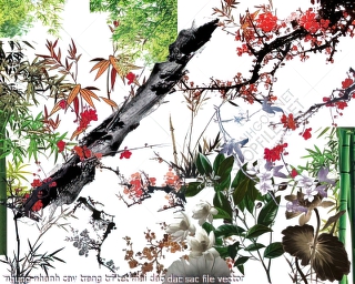 nhung nhanh cay trang tri tet mai dao dac sac file vector
