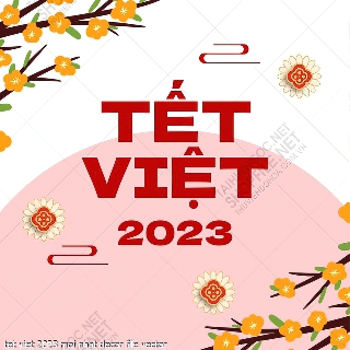 tet viet 2023 moi nhat decor file vector