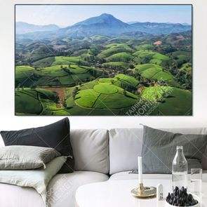 tranh ha noi tra bat 23 9 vuong