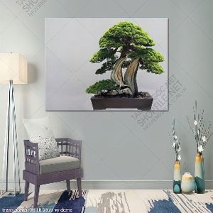 tranh bonsai 28 10 2022 vy