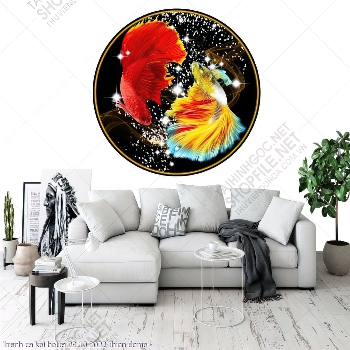 tranh ca koi betta 29 10 2022 thien