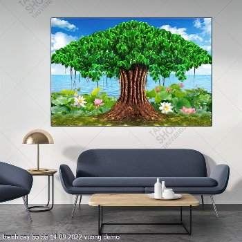 tranh phat giao cay bo de 14 09 2022 vuong