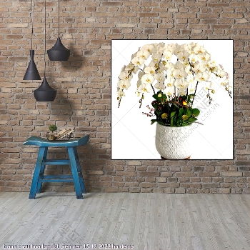 tranh binh hoa chau hoa lan dot bien nen 15 10 2022 ha