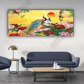 tranh chim cong 1 6 2022 hanh