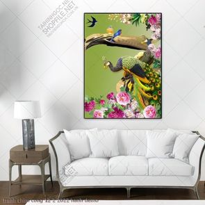 tranh chim cong 12 2 2022 hanh