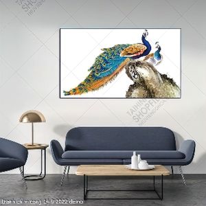 tranh chim cong 14 9 2022