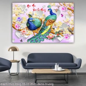 tranh chim cong 16 11 2021 truong