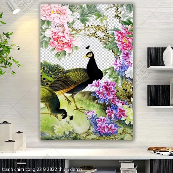 tranh chim cong 22 9 2022 thien