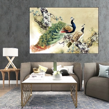 tranh chim cong 27 10 2022 hieu