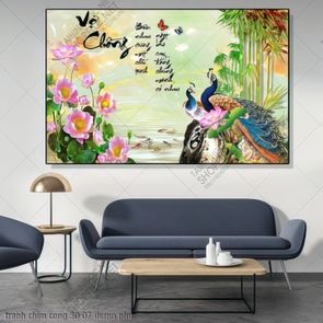 tranh chim cong 30 07 phu