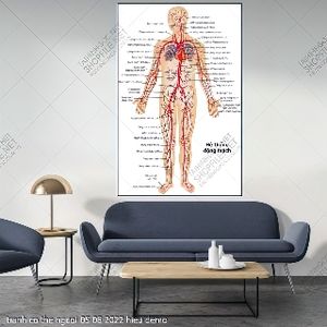 tranh y khoa co the nguoi 05 08 2022 hieu