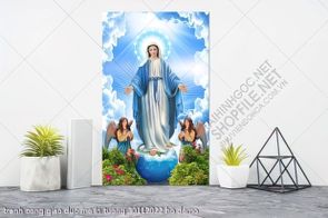 tranh cong giao duc me in tuong 30112022 ho