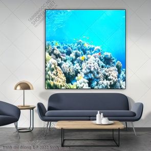 tranh dai duong 1 7 2022 hanh