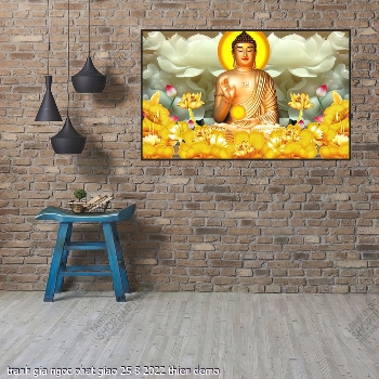 tranh gia ngoc phat giao 25 8 2022 thien