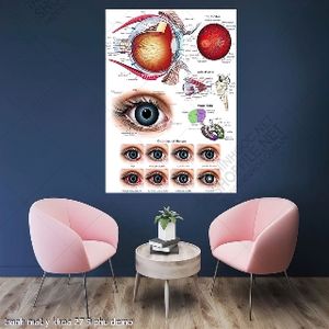 tranh nhan khoa mat y khoa 27 9 phu