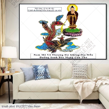 tranh phat 18112022 dao