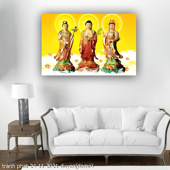 tranh phat 24 11 2021 duyen