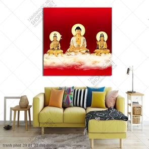 tranh phat 29 01 22 dat