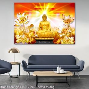 tranh phat giao 16 12 2021 truong