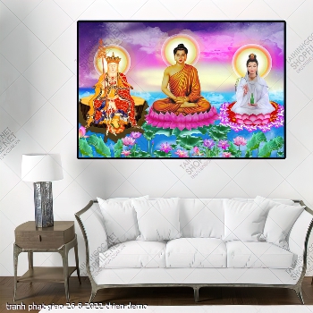 tranh phat giao 26 8 2022 thien