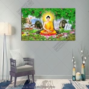 tranh phat giao cay bo de 16 02 2022 duyen