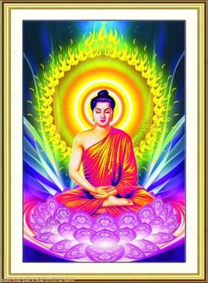 tranh phat giao vi phat to nhu lai