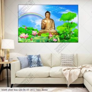 tranh phat hoa sen 06 05 2022 hieu