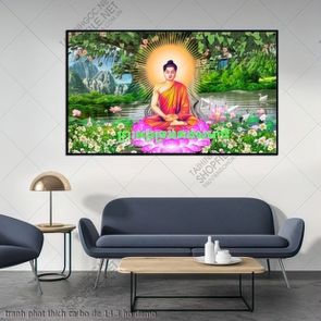 tranh phat thich ca bo de 14 3 ho