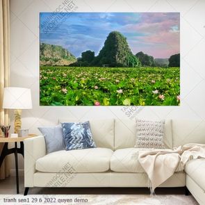tranh sen1 29 6 2022 quyen